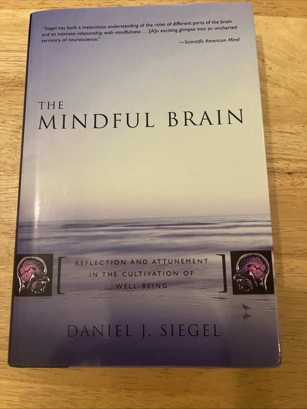 THE MINDFUL BRAIN: By Siegel Daniel J. M.d. Hardcover