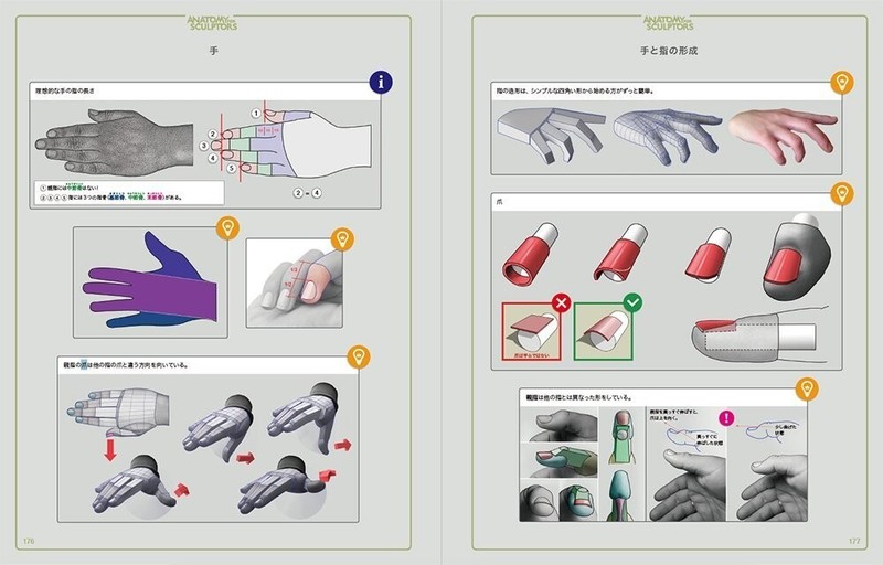 Art Anatomy for Scalpter Anatomy for Sculptors Book Japanese Version Photo gallery
