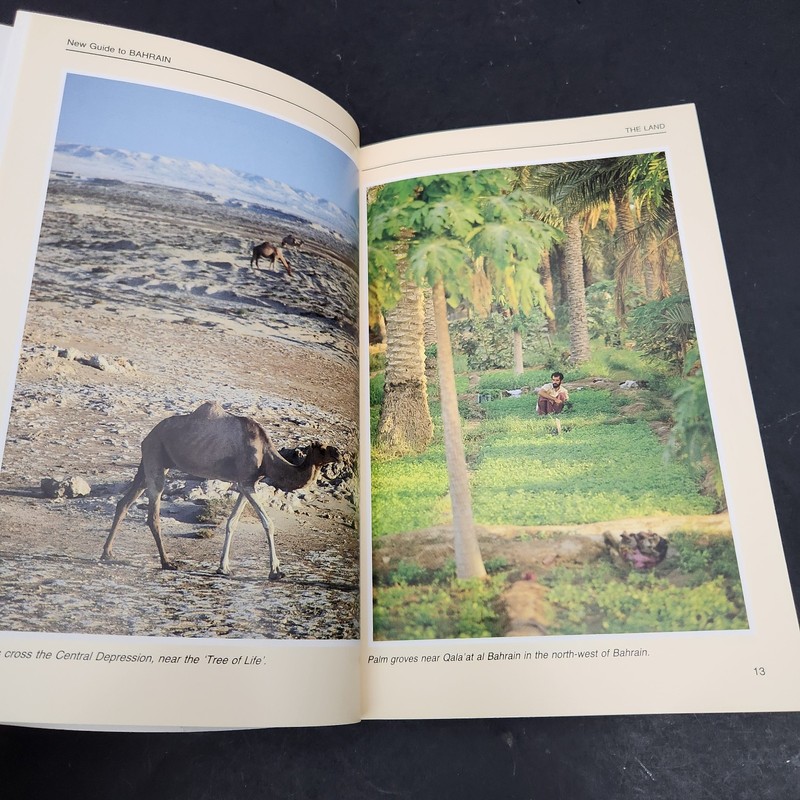 IMMEL's New Guide to Bahrain gallery