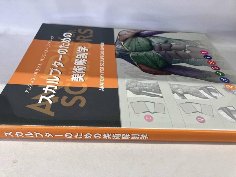 Art Anatomy for Scalpter Anatomy for Sculptors Book Japanese Version Photo gallery