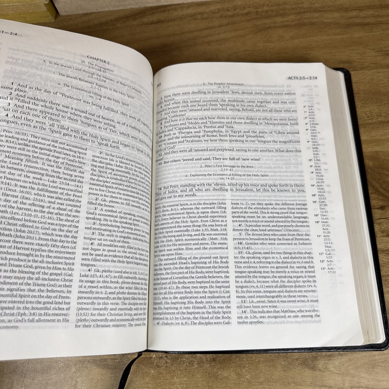 HOLY BIBLE: RECOVERY VERSION By Living Stream Ministry - First Edition 2003 gallery