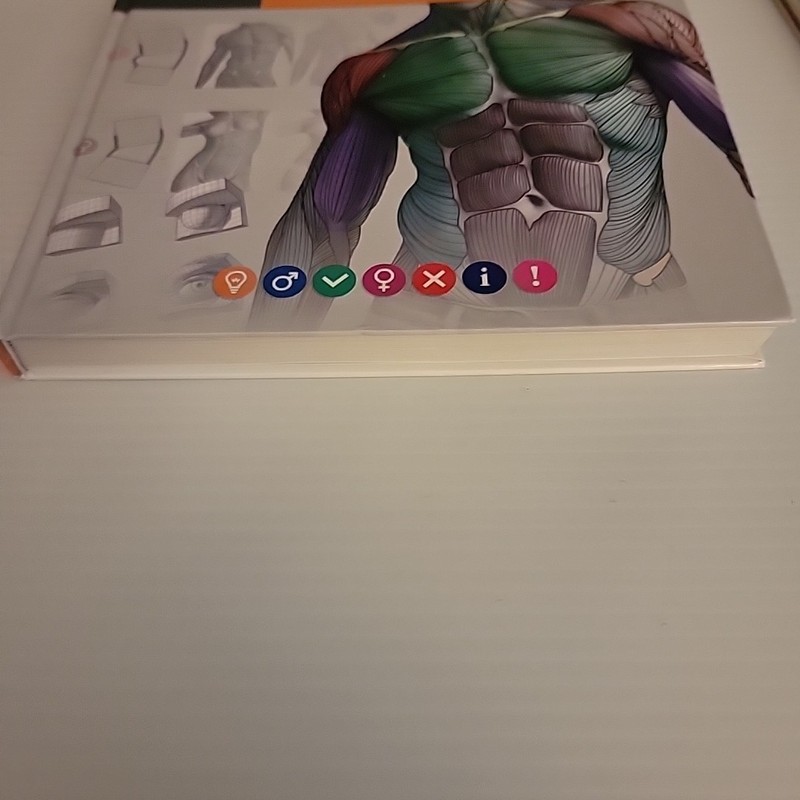 Anatomy for Sculptors Book - Spanish Version - *LN* - 2014 - Fine Art Resource gallery