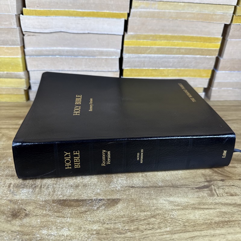 HOLY BIBLE: RECOVERY VERSION By Living Stream Ministry - First Edition 2003 gallery