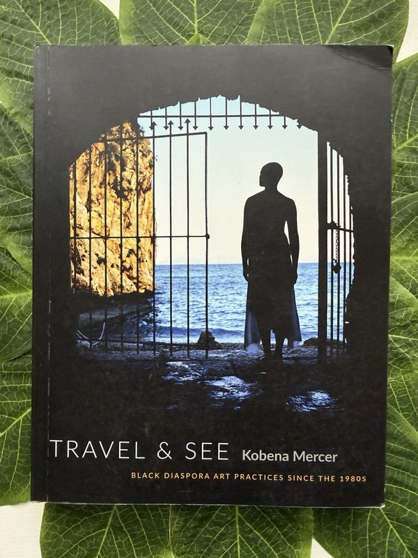 Travel & See. Kobena Mercer. Used Very Good. Free Shipping.