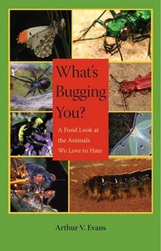 What’s Bugging You?: A Fond Look at the Animals We Love to Hate by Evans: Used