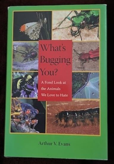 What’s Bugging You: A Fond Look at the Animals We Love to Hate: Pub 2008 264 Pgs