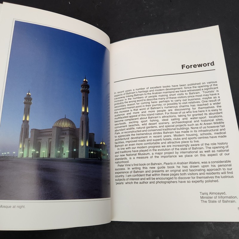 IMMEL's New Guide to Bahrain gallery