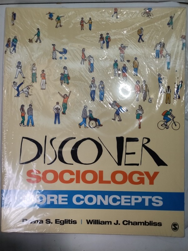 Discover Sociology: Core Concepts, College of Dupage Custom Bundle, 3 Books READ